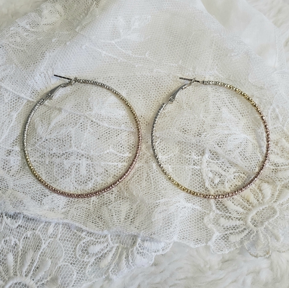 𝅺OMBRE Hoop Earrings